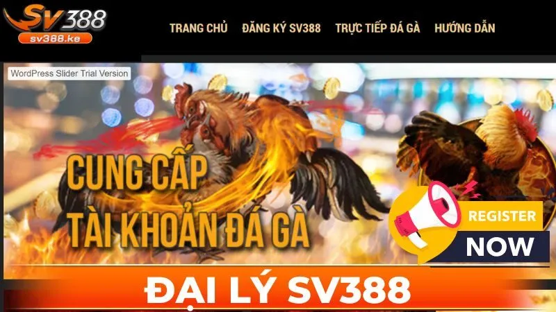 Trở Thành Đại Lý SV388 | Cơ Hội Kinh Doanh Đầy Tiềm Năng